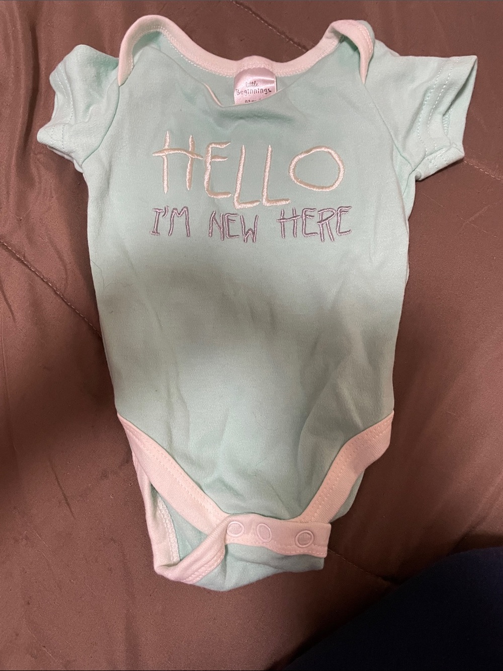 Mint Baby One-Piece Bodysuit with 'Hello I'm New Here' Embroidery